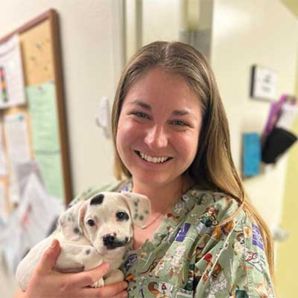 Heartfelt Animal Care - Roseville Veterinary - Brand New Pet Clinic