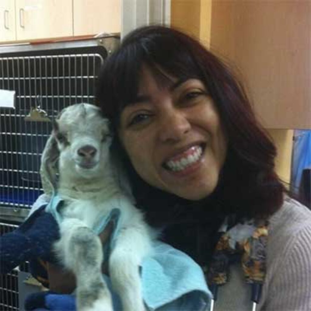 Heartfelt Animal Care - Roseville Veterinary - Brand New Pet Clinic
